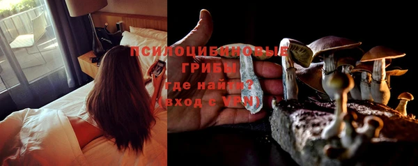 хмурый Дмитров
