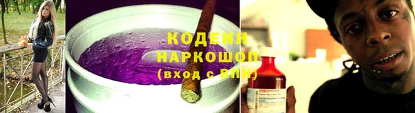 сатива Дмитровск
