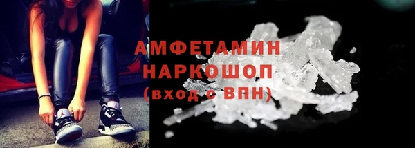 сатива Дмитровск