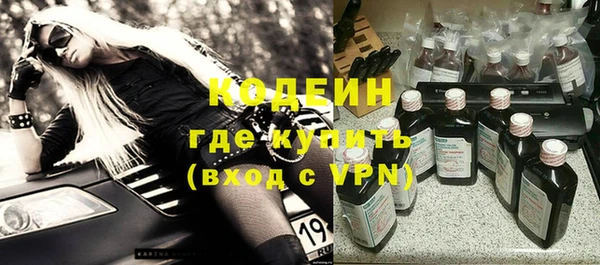 сатива Дмитровск