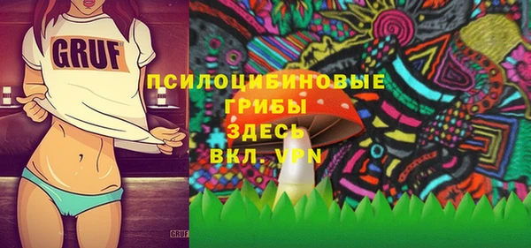 хмурый Дмитров