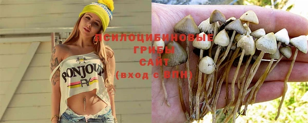 хмурый Дмитров