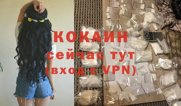 сатива Дмитровск