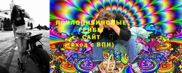 хмурый Дмитров