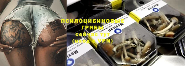 хмурый Дмитров
