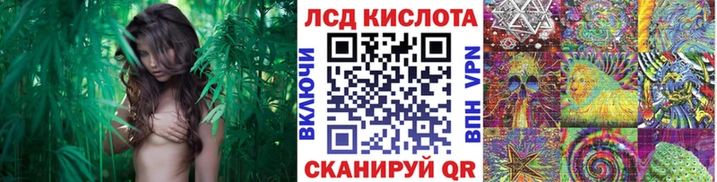Купить  Знаменск  Наркотические марки 1,5мг 