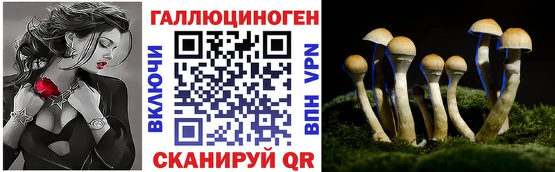 Псилоцибиновые грибы Psilocybe  Купить  Знаменск 